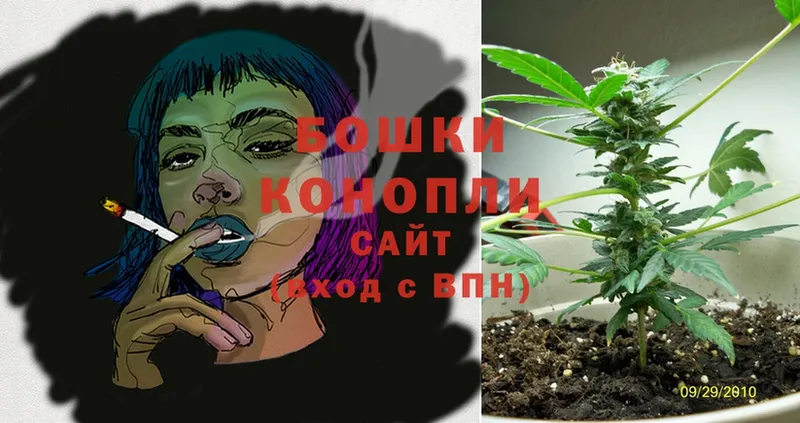 Бошки Шишки White Widow  Анжеро-Судженск 